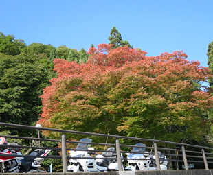 秋田、青森八甲田、奥入瀬、八幡平、盛岡 二泊二日ツーリング