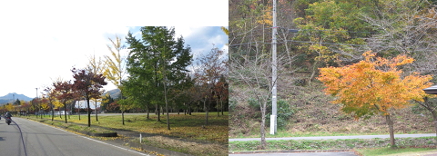紅葉の山都一ノ木 新そばツーリング